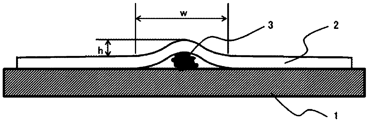 Layered body of polyimide film and inorganic substrate