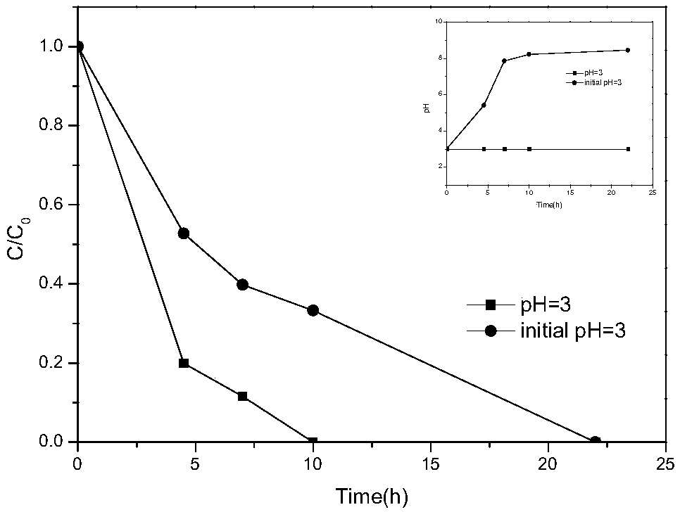 Composite cathode and preparation method thereof as well as application of composite cathode in biological electro-Fenton method