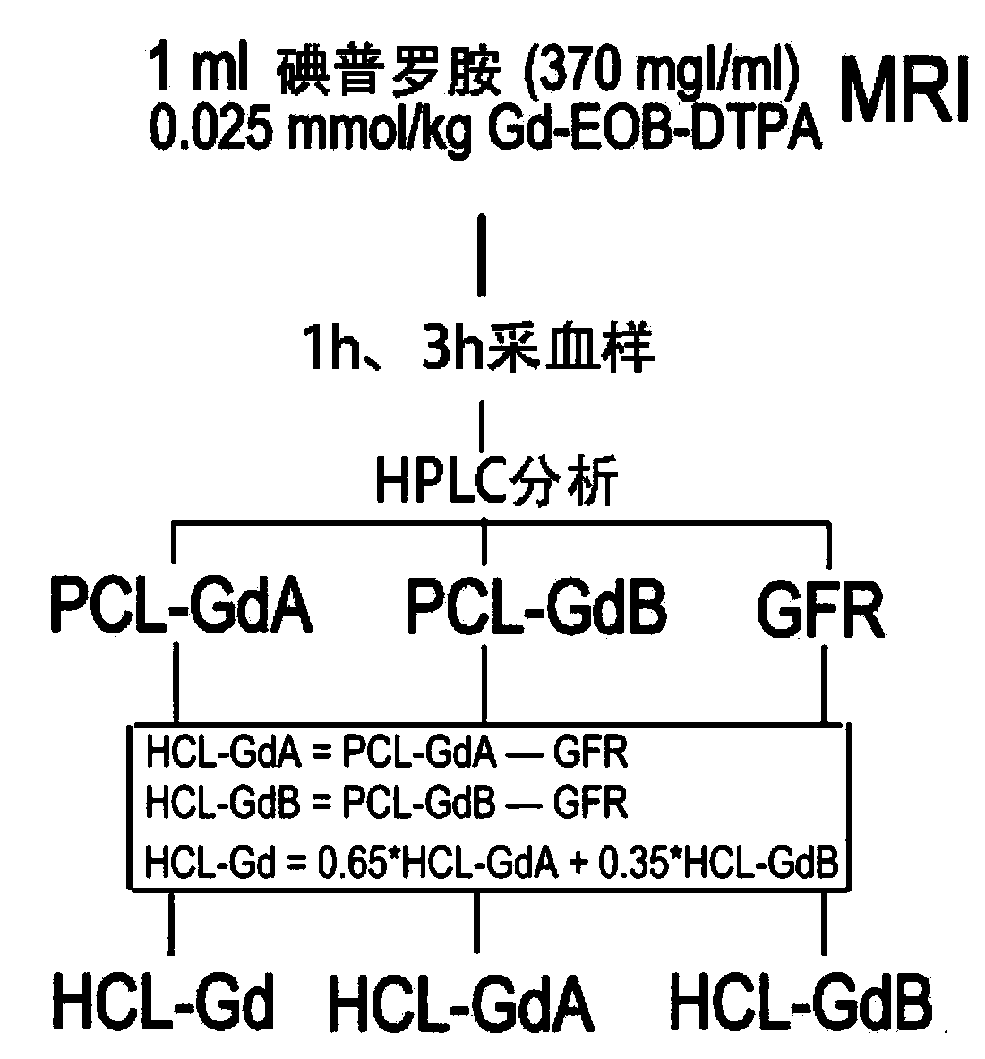 Method for detecting liver and kidney clearance rates of two isomers of Primovist