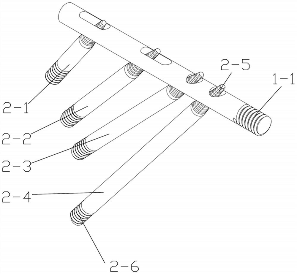 Cross screw system supported and fixed on femoral neck cortical bone