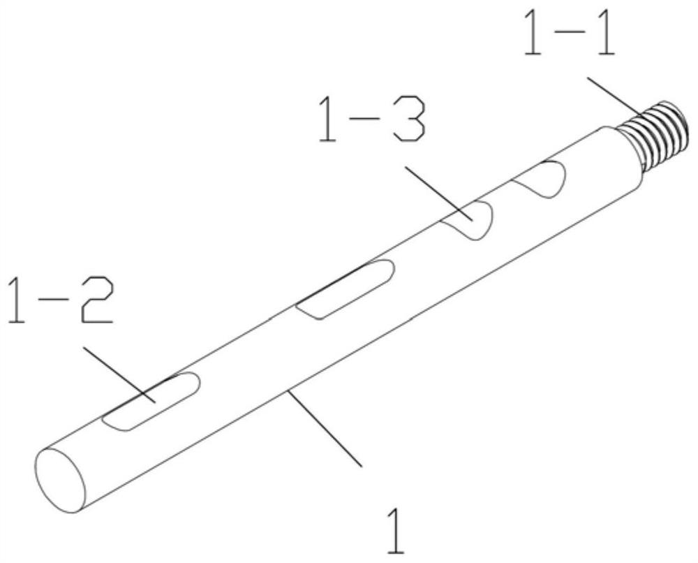 Cross screw system supported and fixed on femoral neck cortical bone