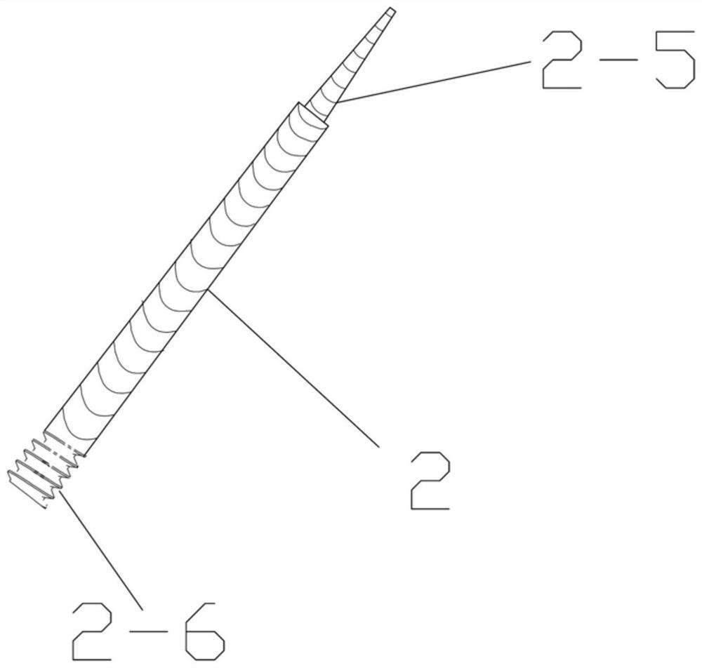 Cross screw system supported and fixed on femoral neck cortical bone