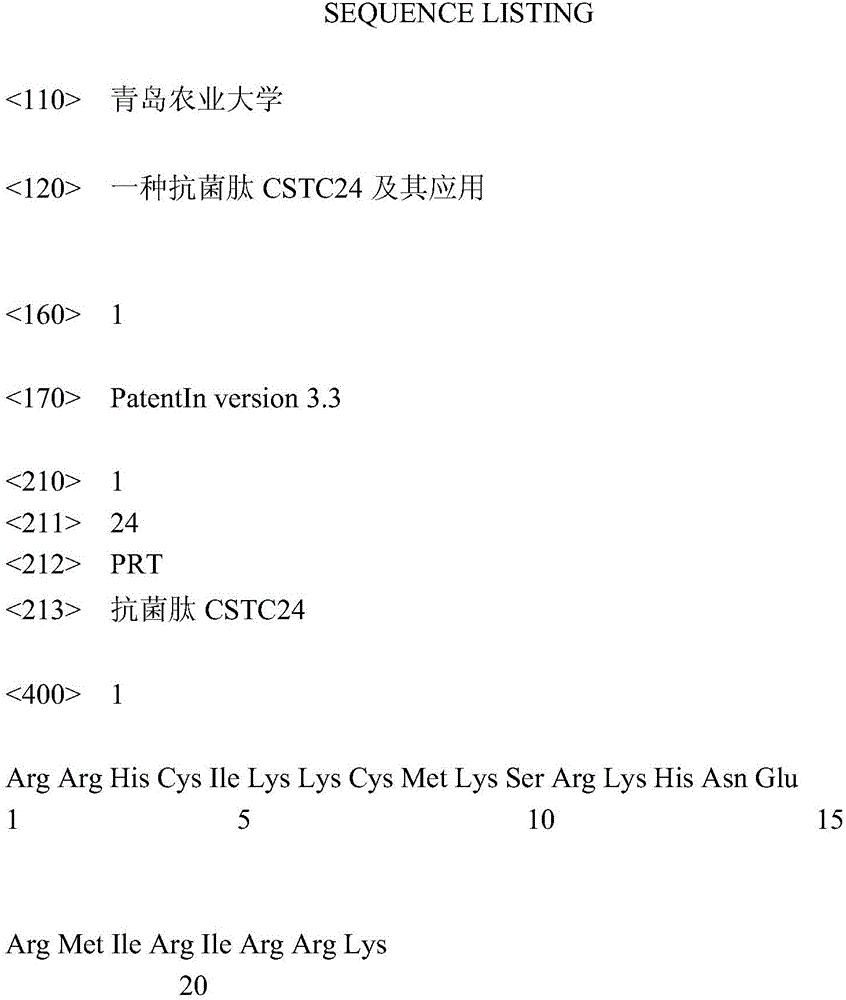 Antibacterial peptide CSTC24 and application thereof