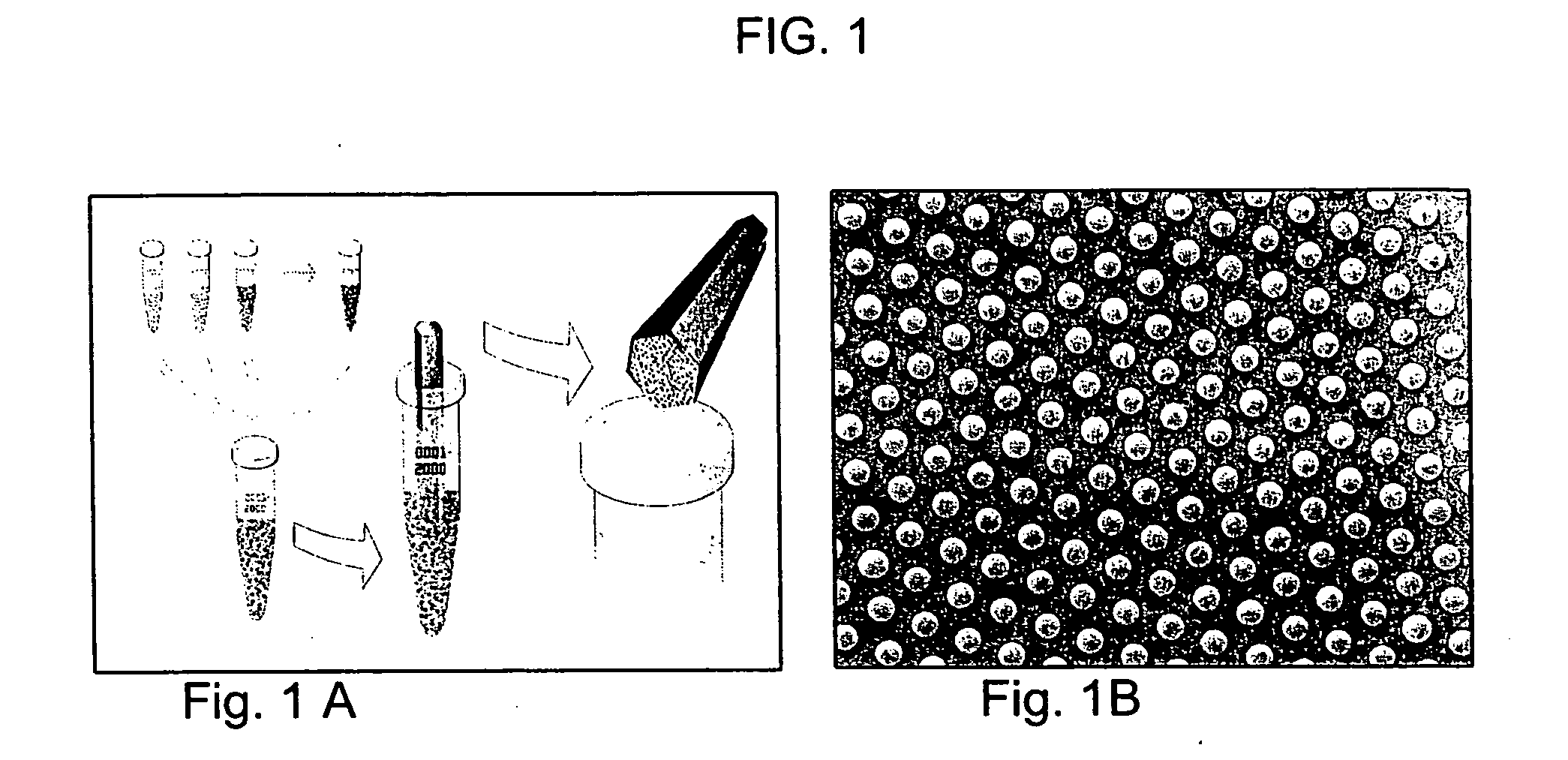 Methods and compositions for diagnosing conditions associated with specific DNA methylation patterns