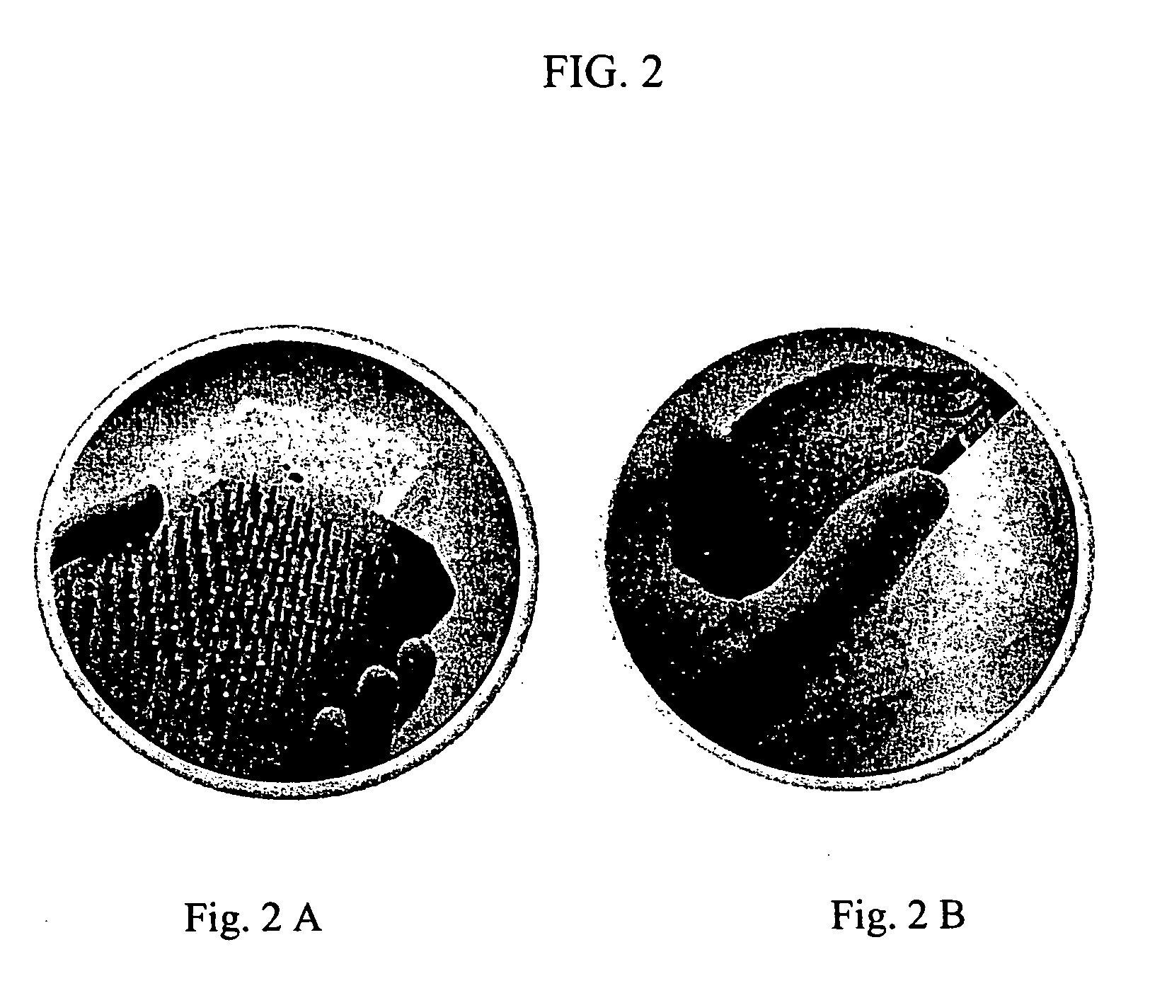 Methods and compositions for diagnosing conditions associated with specific DNA methylation patterns