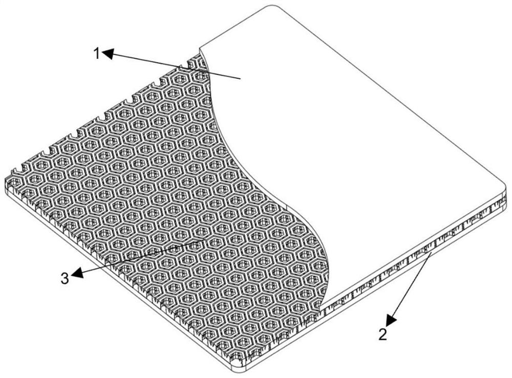 Bionic lightweight sandwich structure of bipolar plate of fuel cell