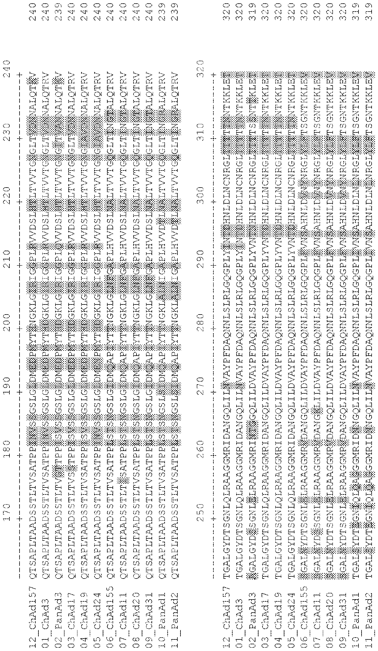 Adenovirus polynucleotides and polypeptides