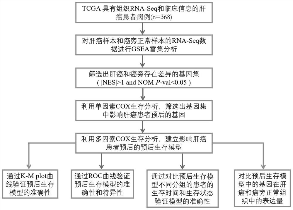 A group of liver cancer prognostic markers and their application