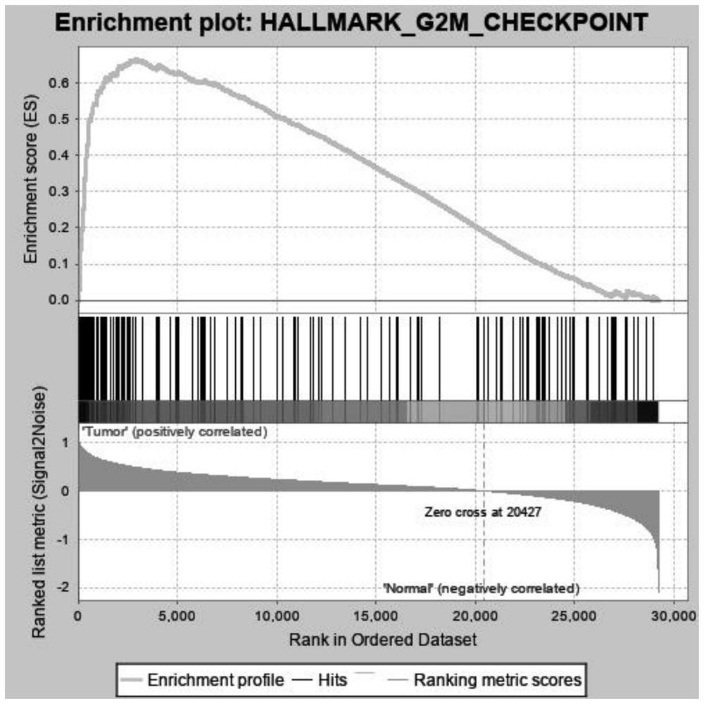 A group of liver cancer prognostic markers and their application