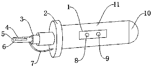 Intubation device for cardiovascular surgery