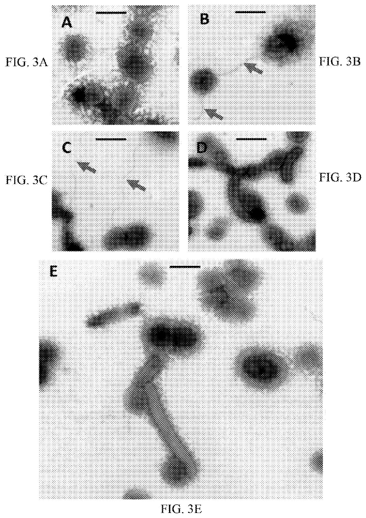 Devices and methods for generating electrical current from methane