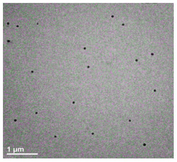 A kind of sodium tetradecyl sulfate injection and preparation method thereof