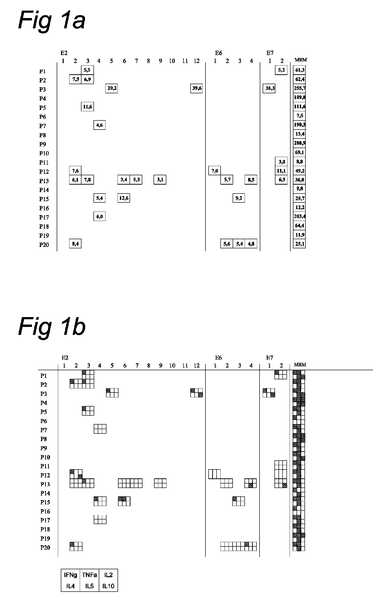 Methods and means for the treatment of HPV induced intraepithelial neoplasia