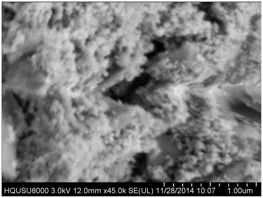 A kind of scr nano membrane denitration catalyst and its preparation method and application