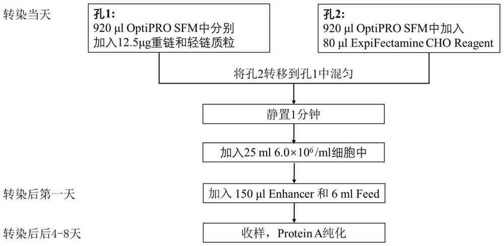 A kind of anti-human tslp monoclonal antibody and application thereof