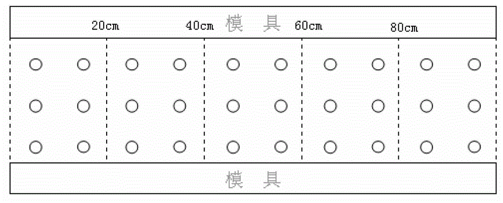 Seeding matrix and unibract fritillary bulb planting method