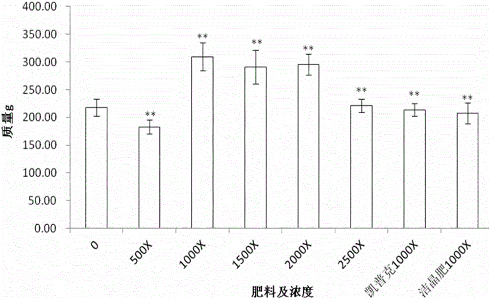 Fertilizer formula capable of improving growth quality of dragon fruit and preparation method and application thereof