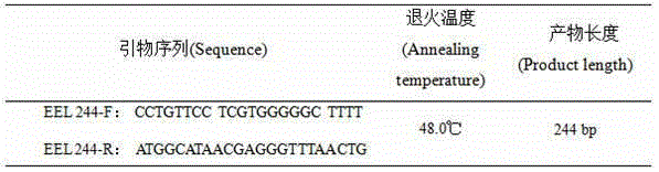 A Method for Identifying Eel Species Based on DNA Barcodes