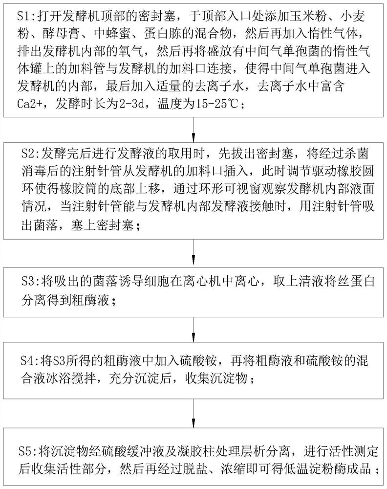 Low-temperature amylase strain and production method of low-temperature amylase