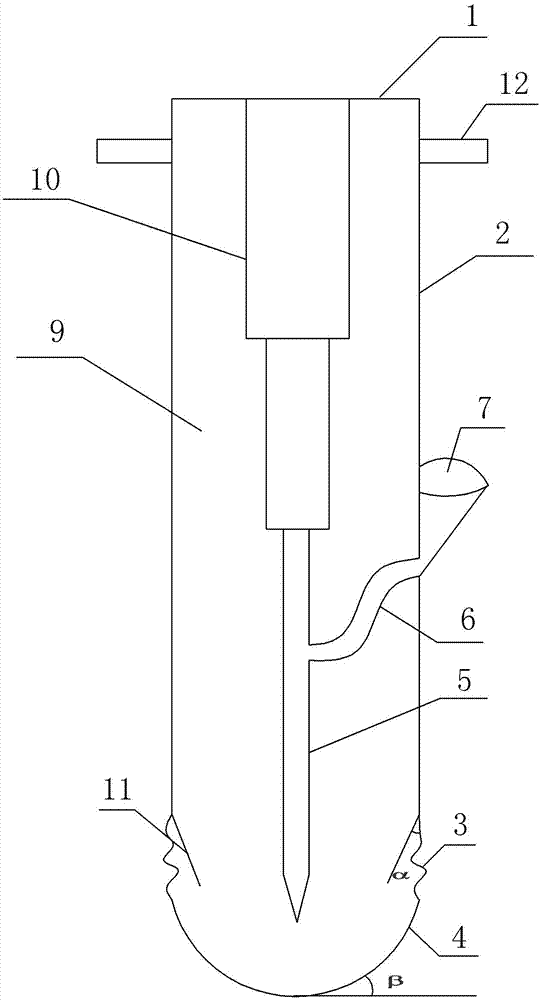 Method for fertilizing walnut tree