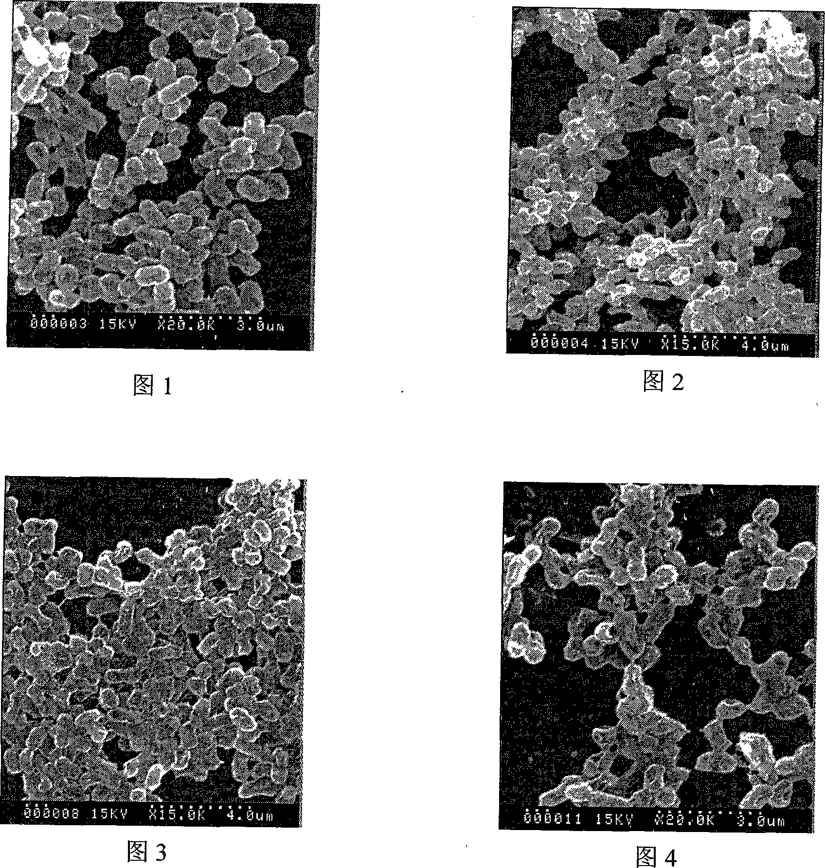 Rare earth complex, preparation method and antibiotic application of the same