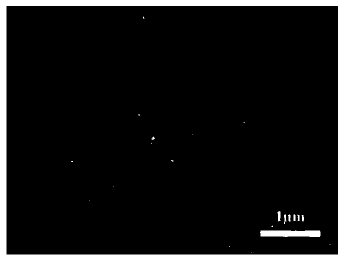 Inorganic flexible resistive memory and preparation method thereof