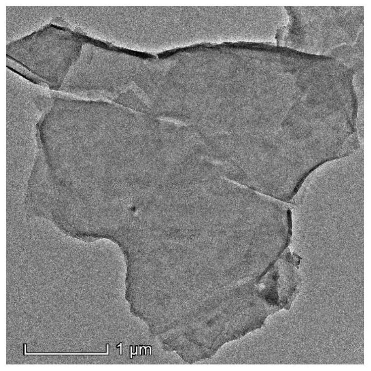 Conductive degradable multifunctional tissue engineering scaffold and preparation method thereof