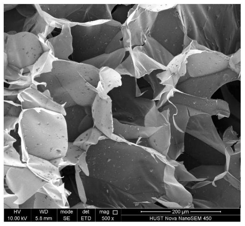 Conductive degradable multifunctional tissue engineering scaffold and preparation method thereof