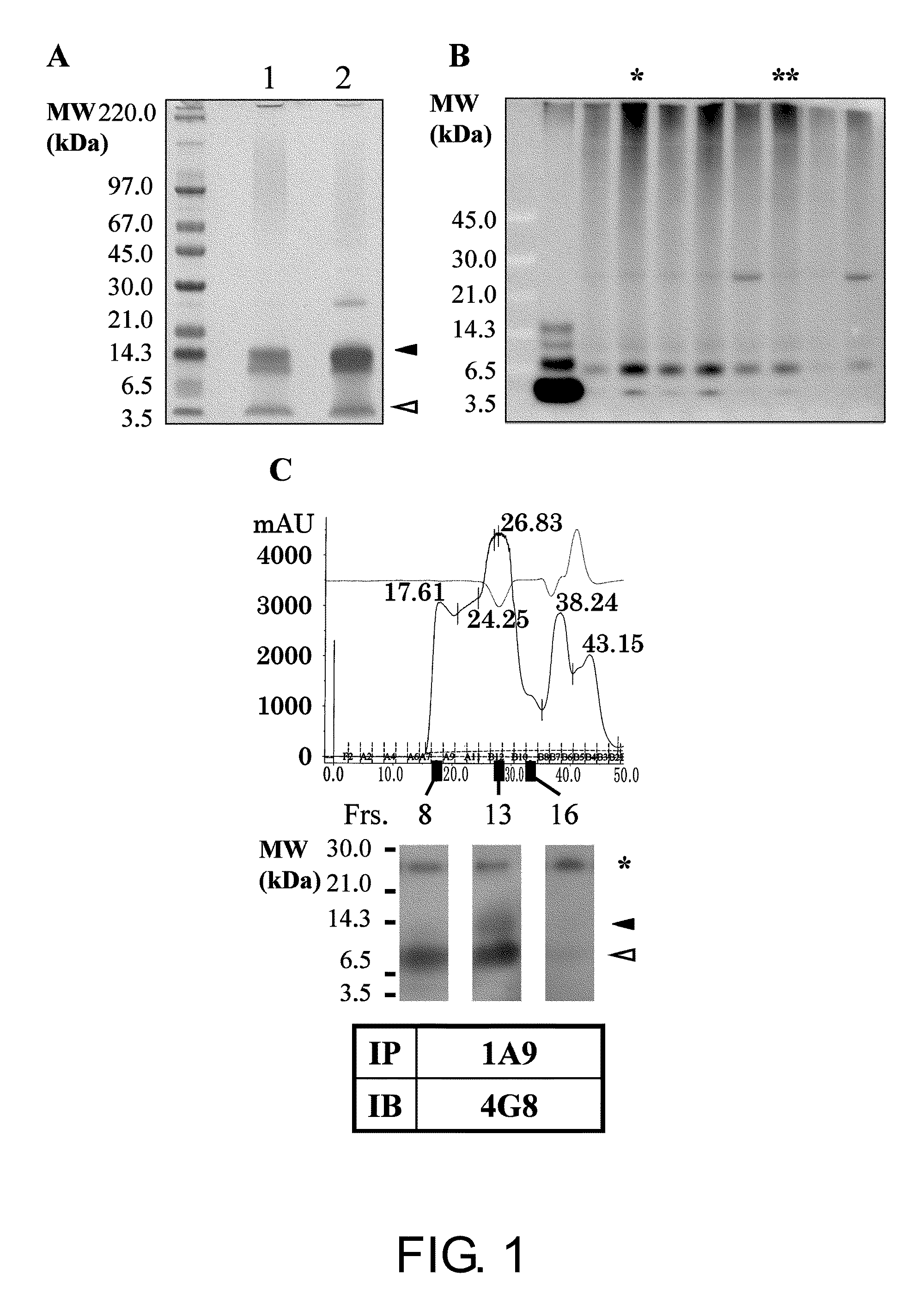 Antibodies That Specifically Bind to Abeta Oligomers and Uses Thereof