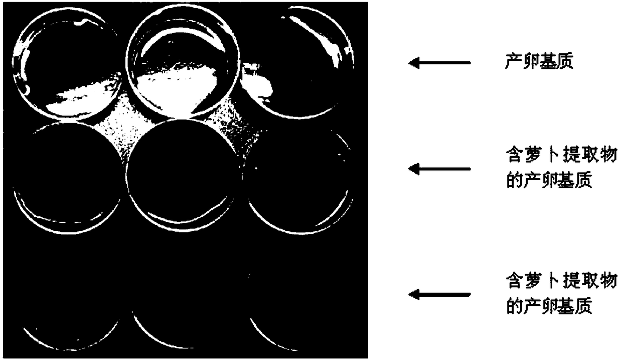 A Method for Studying the Effect of Repelling Substances on Oviposition Behavior of Diamondback Moth