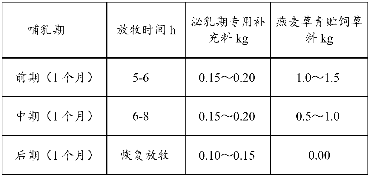 Whole-process efficient culture method for early breeding of Tibetan sheep