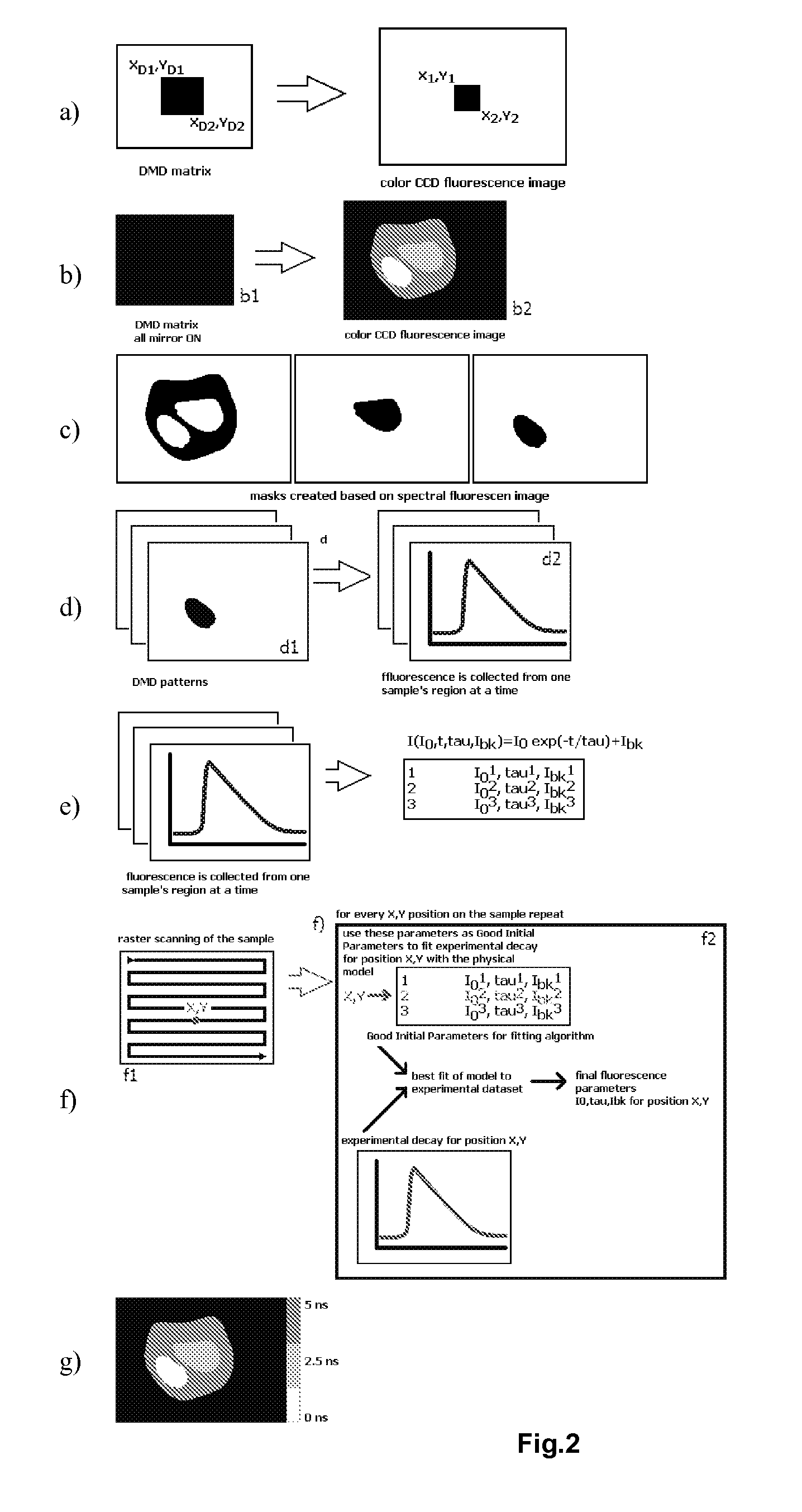 Method of fluorescence imaging