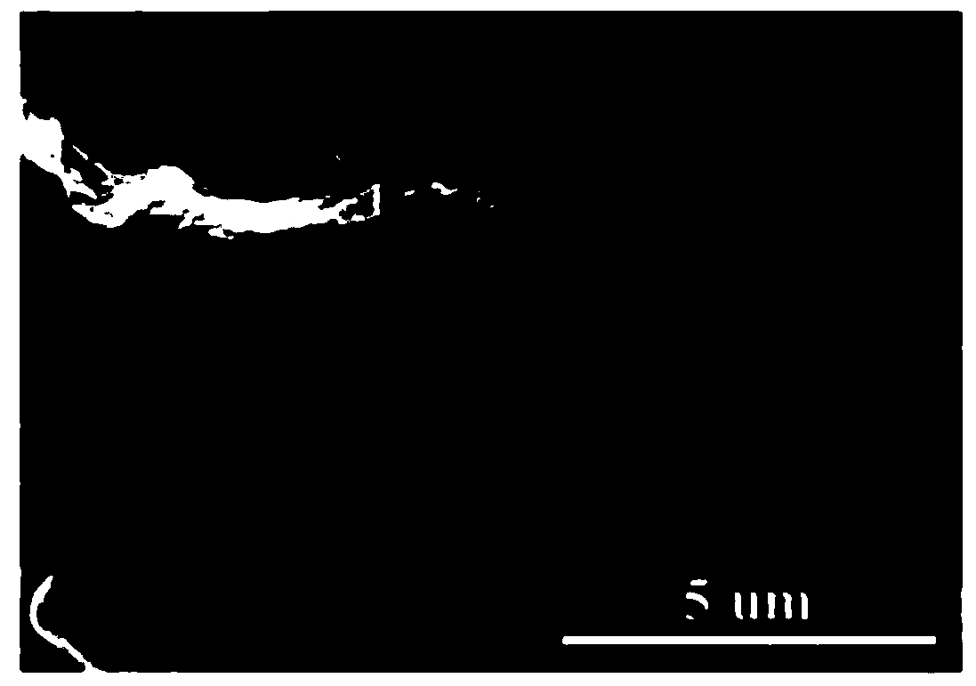 A string of red petal-based graphene porous carbon nanosheets and its preparation method and use