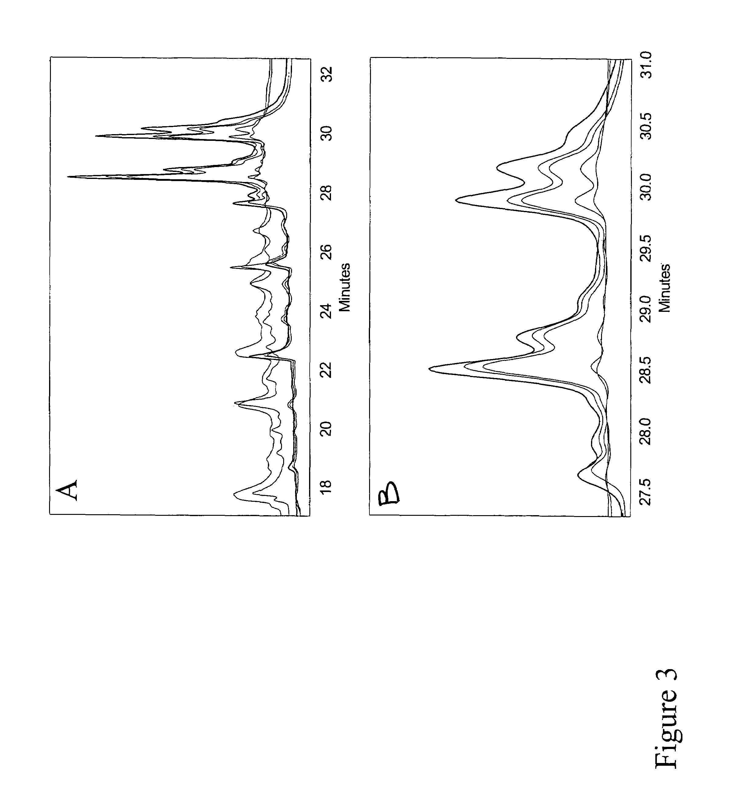 Glutenase enzyme assays