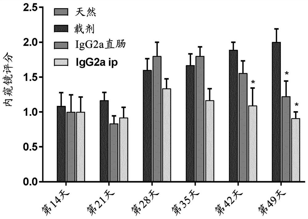 Topical treatment of immune checkpoint inhibitor induced diarrhoea, colitis or enterocolitis using antibodies and fragments thereof