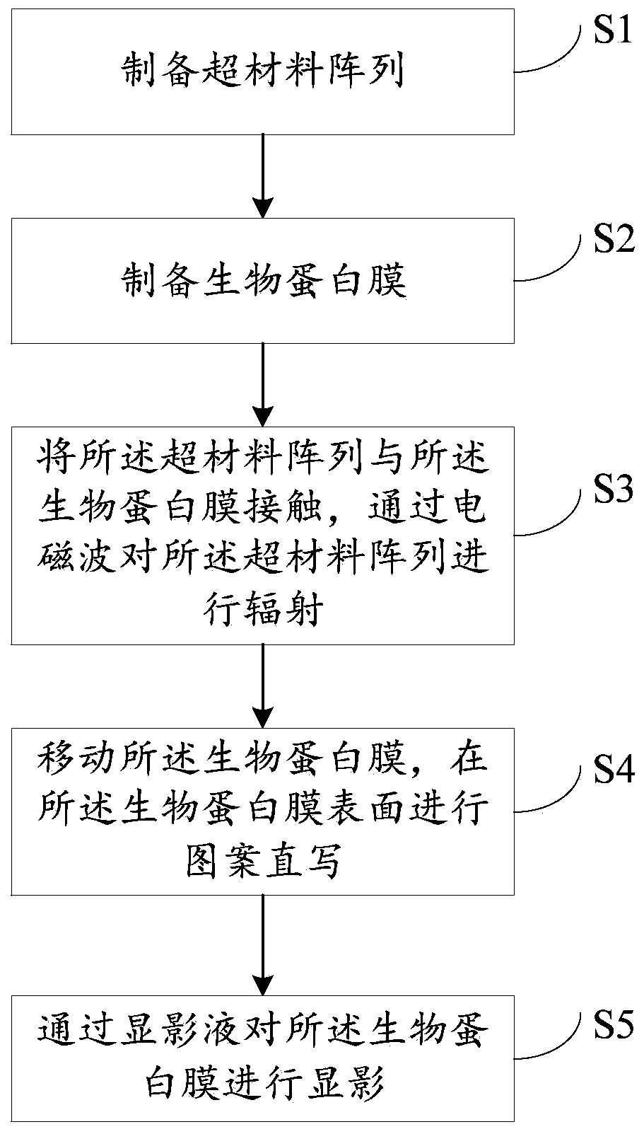 Surface patterning manufacturing method of biological protein film