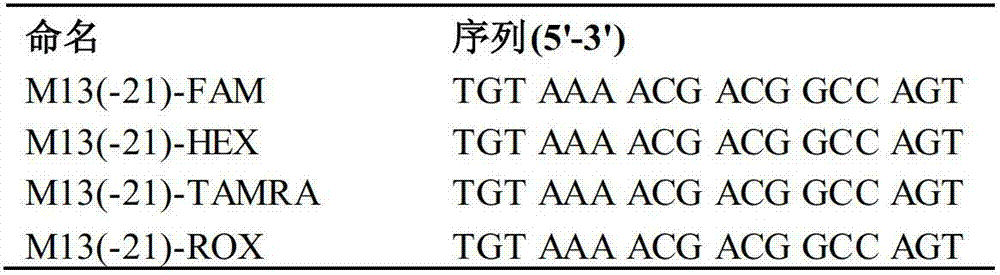 Construction method of date tree SSR (Simple Sequence repeat) marker molecular genetic map