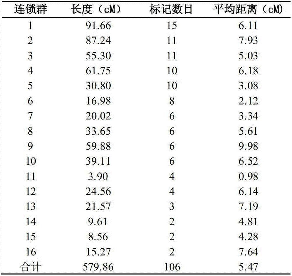 Construction method of date tree SSR (Simple Sequence repeat) marker molecular genetic map