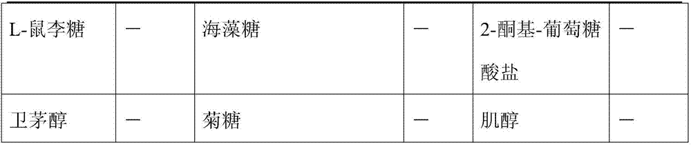 Lactobacillus caucasus JMCC0101 with antioxidant function, and screening method and application thereof