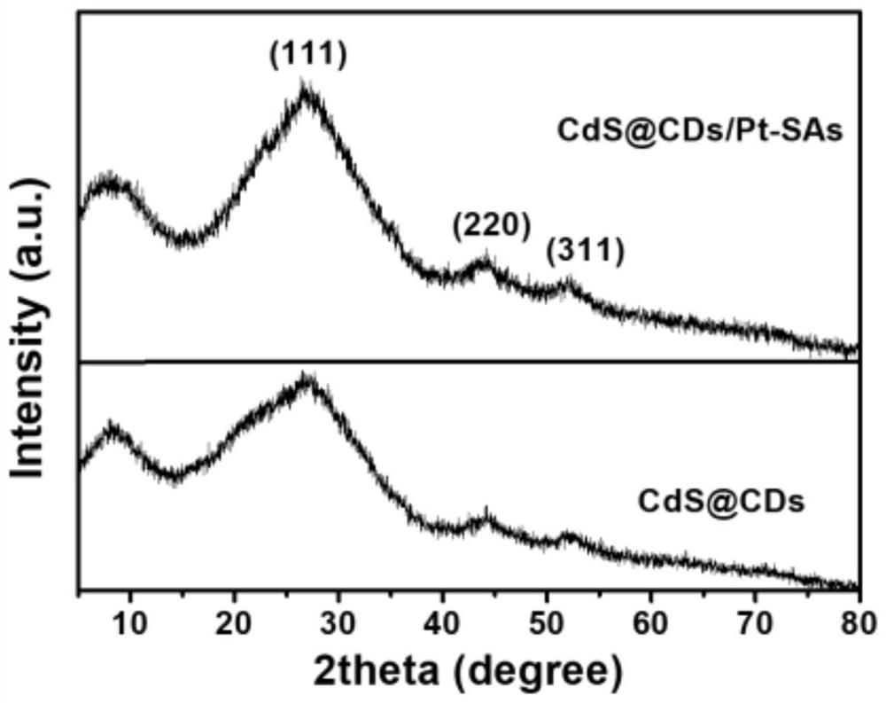 A single-atom photocatalyst for hydrogen production and its preparation method and application