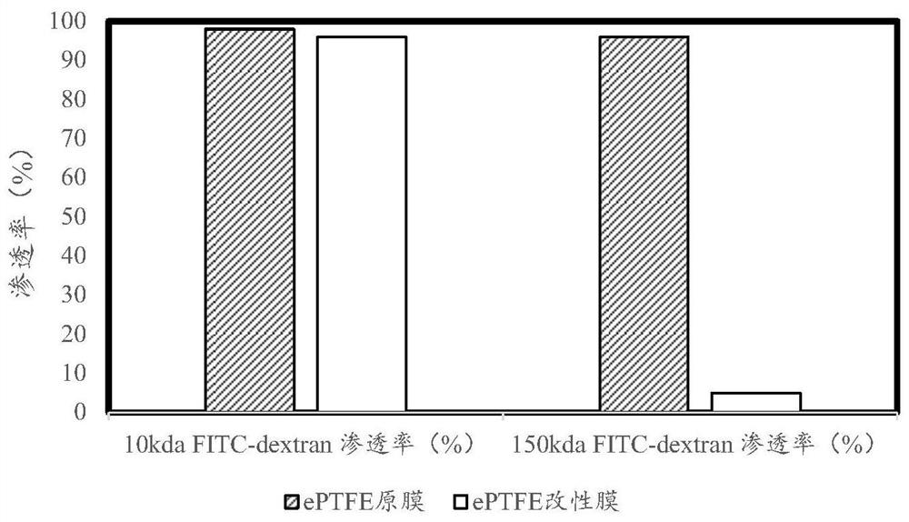 Modification method of porous membrane, modified porous membrane and application of modified porous membrane