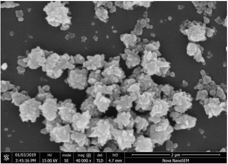 Shape-controllable SrTiO3 flowerlike series nanomaterial preparation and application