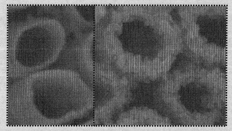 Preparation process of a p25-coated titanium dioxide nanotube array electrode material