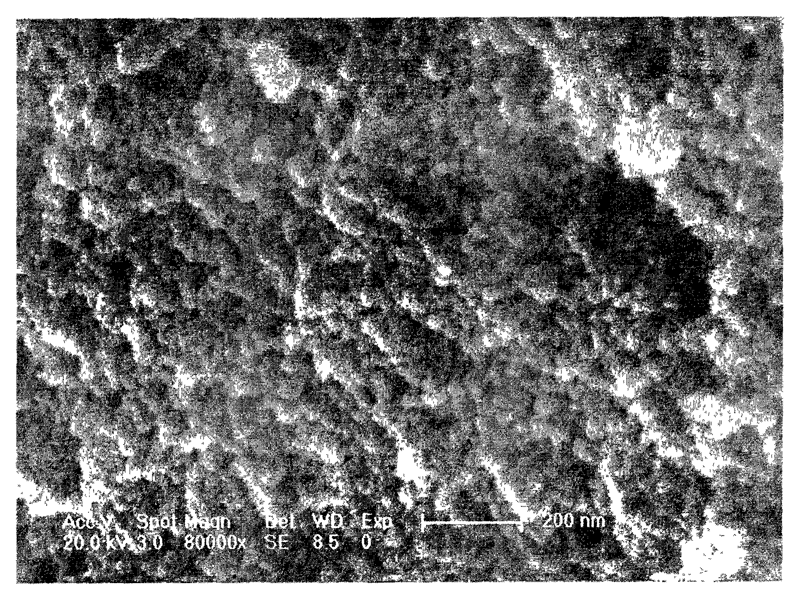 Method for preparing silica aerogel by doped brucite fiber and titanium dioxide powder