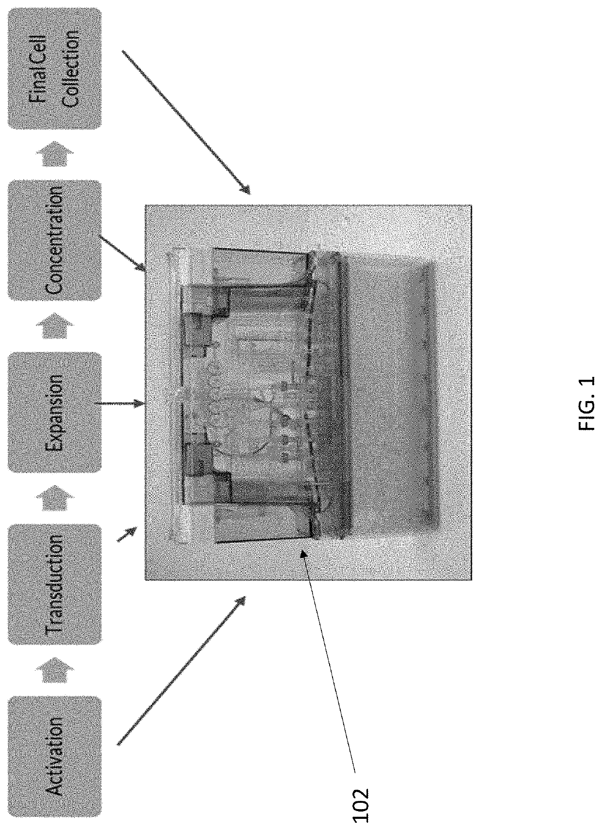 Cell concentration methods and devices for use in automated bioreactors