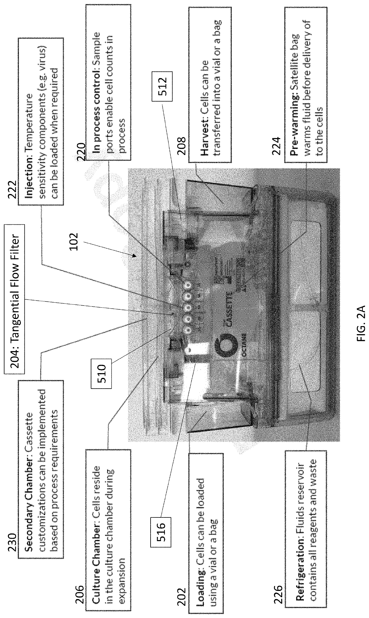 Cell concentration methods and devices for use in automated bioreactors