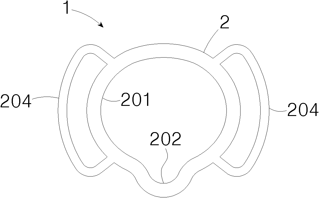 Penis erection aid ring and male physiotherapy apparatus