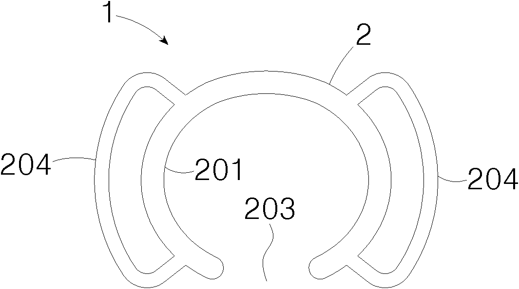 Penis erection aid ring and male physiotherapy apparatus