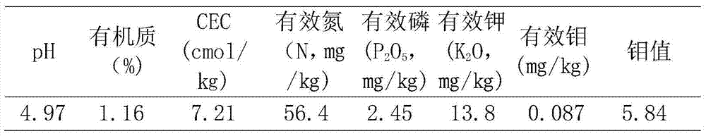 Charcoal-based molybdenum fertilizer capable of reducing nitrate content of vegetables