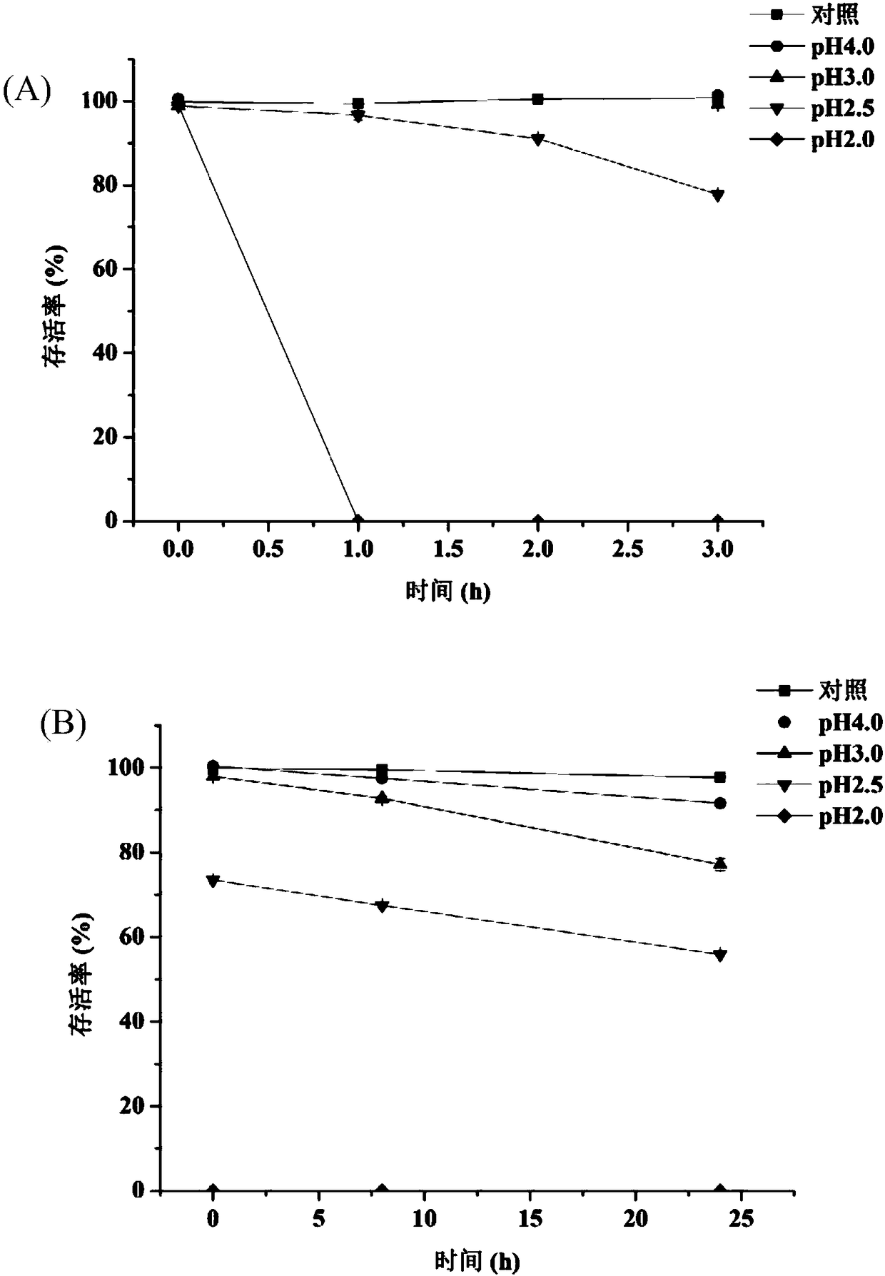 Lactobacillus plantarum ZJUF T17 and application thereof